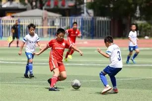 库尔图瓦重,返比利时国,家队阵容,太阳城,太阳城娱乐,太阳城app,太阳城赌场