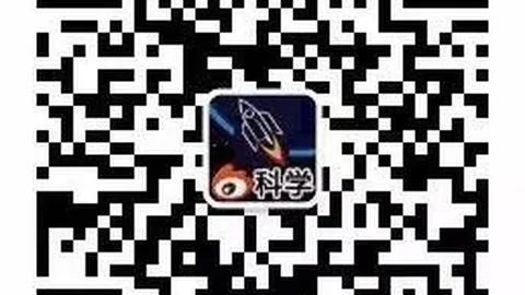股反弹势头可望持，太阳城app，续，三季报或成下一关键转折点